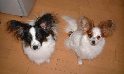 �A�[�X�����[��